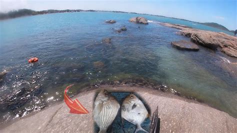 Três praias Guarapari pescasub no raso YouTube