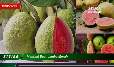 Temukan Manfaat Buah Jambu Merah Yang Jarang Diketahui