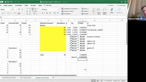 How To Do Diversity Calculations In Excel Youtube