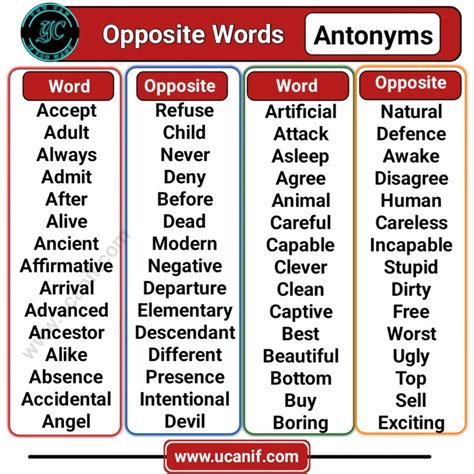 Popular Opposite Words In English A To Z You Can