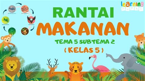 Apa Itu Rantai Makanan Penjelasan Komponen Dan Contohnya Materi Ipa Kelas 5 Sd