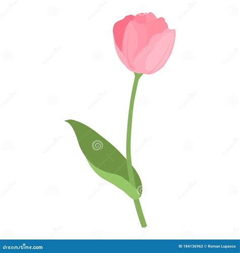 Cute Garden Tulip Flower Icon Cartoon Style Stock Illustration