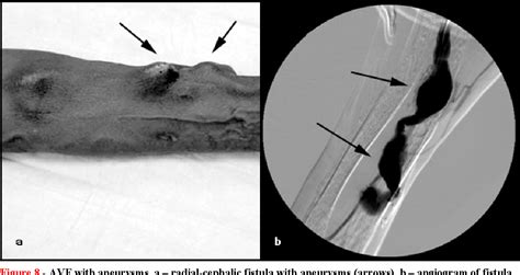 Figure 1 From A Practitioner S Resource Guide To Physical Examination