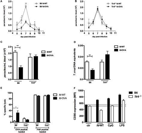 Frontiers Vaccination With Recombinant Filamentous Fd Phages Against