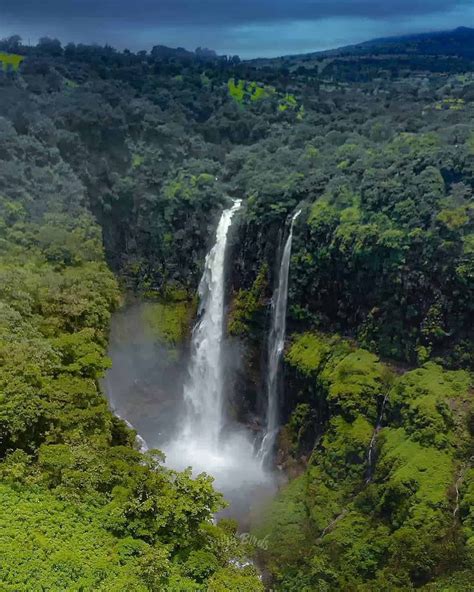 kaas plateau   sajjangad thoseghar waterfall