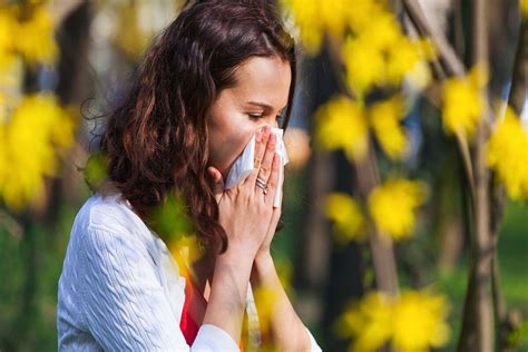 Tips To Tackle With Seasonal Allergies The Statesman