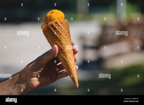 Woman S Hands Holding Melting Ice Cream Waffle Cone In Hands On Summer