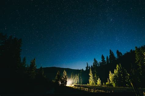 Stars In Night Sky Driving Through A Pine Forest · Free Stock Photo