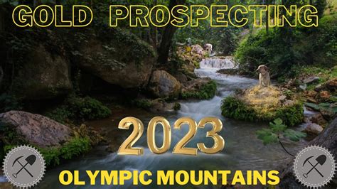 Washington State Olympic Mountains Gold Prospecting Placer Gold On The