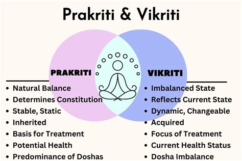 Exploring The Idea Of Prakriti And Vikriti Your Ayurvedic Physique