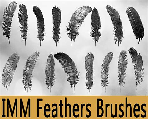 How to Draw Feather Texture for Digital Artists - Cubebrush