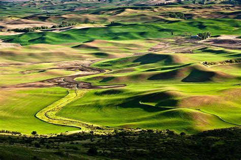 Palouse Hills 2 Photograph by Niels Nielsen