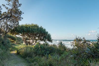 National Park Odyssey: Illaroo Campground, Yuraygir National Park, NSW.