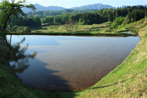 五月の棚田（新潟県長岡市比礼） 越後長岡発／建築・風景写真