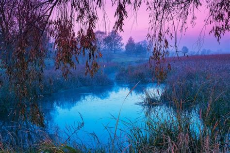 Premium Photo | Magical purple sunrise over the lake misty morning ...