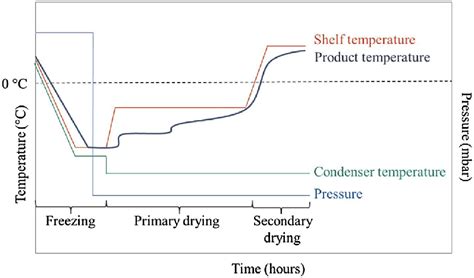 Freeze Drying Process Diagram