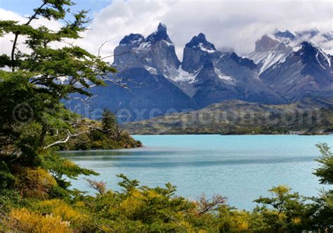 Environs Du Parc De Torres Del Paine Anciens Et R Unions