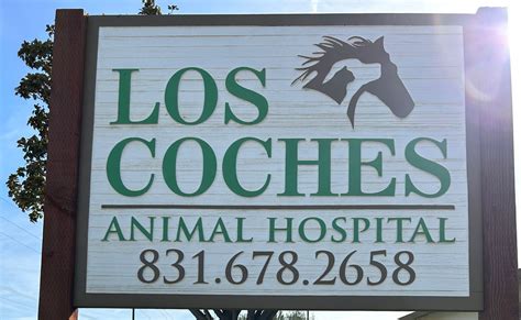 Los Coches Animal Hospital in Soledad announces closure - Salinas ...