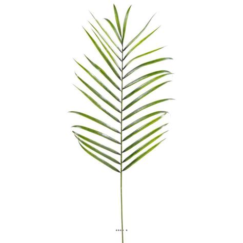 Feuille De Palmier Areca Artificielle En Plastique H Cm Vert