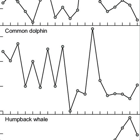 Total Number Of Individuals Per Sighting In Each Year For Bottlenose