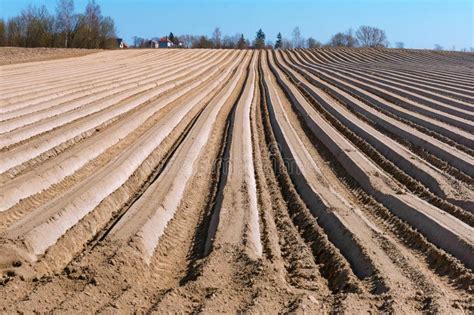 Surcos Lisos De La Regi N Agr Cola Campo Arado En Primavera Imagen De