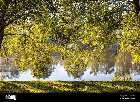 Horseshoe Lake Yateley Hampshire England Uk Stock Photo Alamy