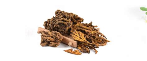 Huang Lian, Huanglian, Huang Lian Herb For Sale - Native Chinese
