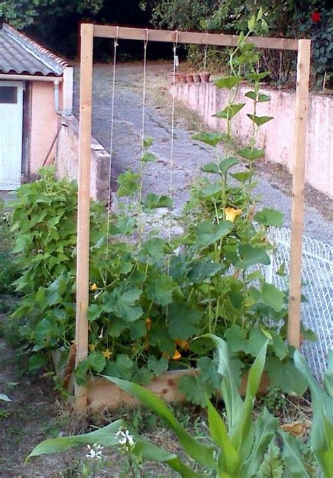 Mon premier potager en carrés et en photos A tous les autres