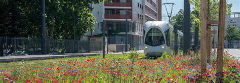 Tramway T Entre Debourg Et H Pitaux Est Ilex Paysage Urbanisme