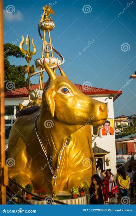 hinduist complex  shiva god  golden nandi bull statue editorial