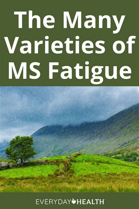 The Types of MS Fatigue Explained