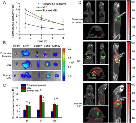 Figure From Liposomes Coated With Isolated Macrophage Membrane Can