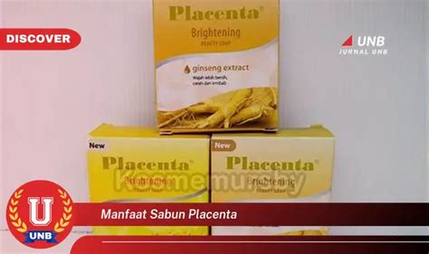 Temukan 6 Manfaat Sabun Placenta Yang Wajib Kamu Intip