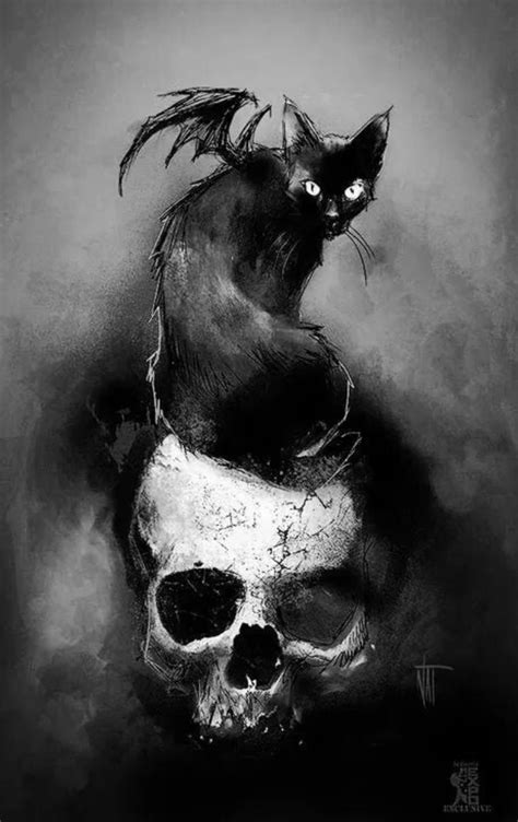 A Black Cat Sitting On Top Of A Skull