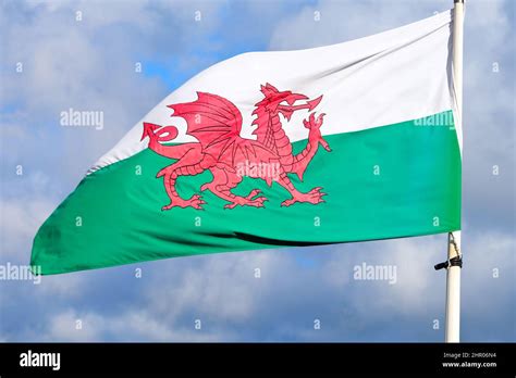 Welsh National Flag Flying From A Flagpole In Wales In The United