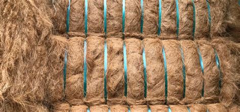 Benefits Of Coconut Coir Or Coco Fiber For Plants Guna Coco Indonesia