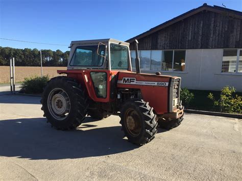 Massey Ferguson 590 Schweiz Traktor Foto 1442281