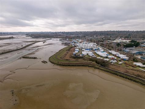 melton images    freepik