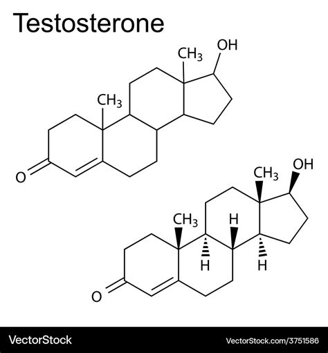 Testosterone Molecule Structure