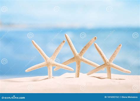 White Starfish With Ocean On White Sand Beach Sky And Seascape Stock