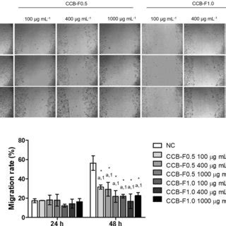 Inhibition Of B16 F10 Cell Migration Assessed By The Transwell Assay