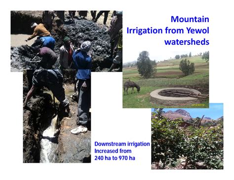 Soil Fertility Management Organic Africa 1