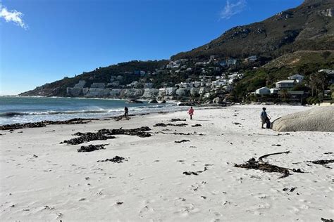 Cape Town Visite Priv E D Une Journ E Compl Te Des Plages Du Cap