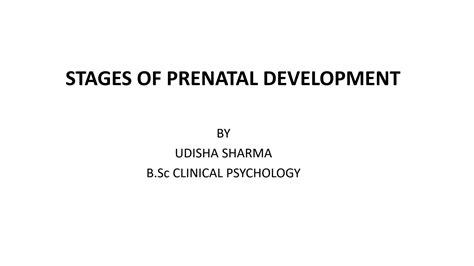 SOLUTION: Stages of prenatal development - Studypool