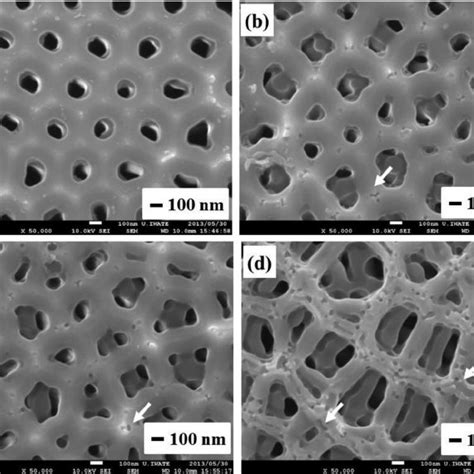 Surface Fe Sem Images Of Porous Alumina Films Formed By Anodizing Al