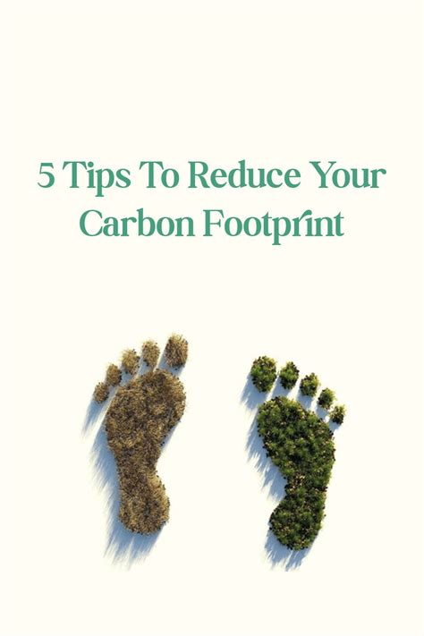 5 Tips to Reduce Your Carbon Footprint