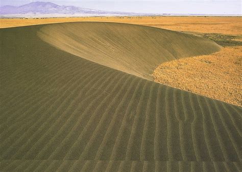 Shifting Sands