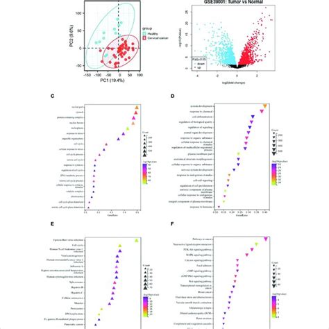 Identification Of Degs In Gse39001 And Functional Enrichment Analysis