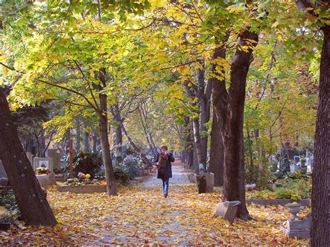 Autumn Cemetery Free Photo On Pixabay Pixabay