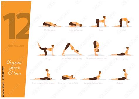 12 Yoga poses for upper back pain, vector illustration Stock Vector ...